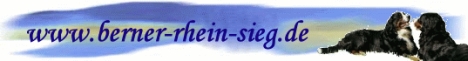www.berner-rhein-sieg.de